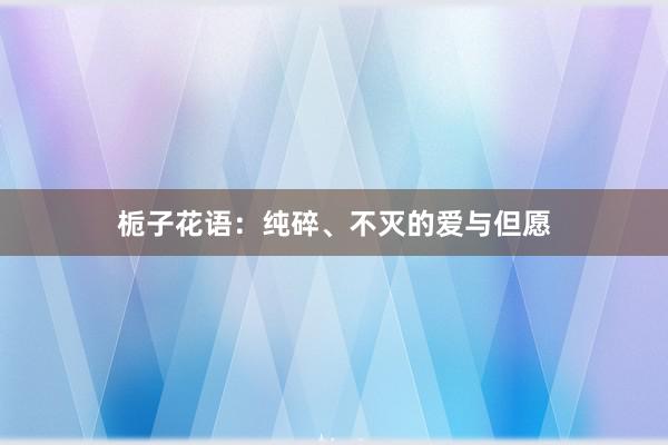 栀子花语:纯碎、不灭的爱与但愿